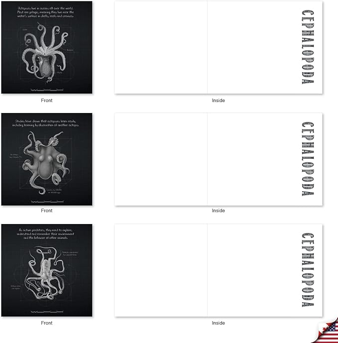 The Best Card Company - 10 Blank Note Cards with Envelopes (4 x 5.12 Inch) - Octopus Photos, Bulk Boxed Set - Octo-Facts MQ4957OCB-B1x10-NB