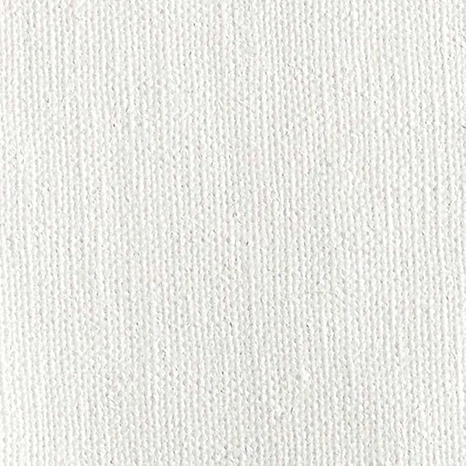 Centurion Deluxe Professional Oil Primed Linen Canvas Panels - 8x10-6 Pack of Linen Canvases for Painting, Artwork and More