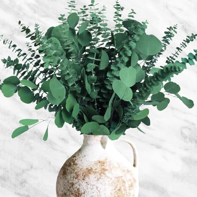 24PCS Dried Eucalyptus & Silver Dollar Leaves Bundle - 17" Large Real Eucalyptus Leaves for Shower, Home Decor, Bathroom, Dried Flowers, Christmas Garland