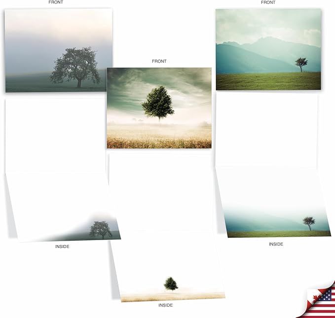 The Best Card Company - 20 Landscape Nature Note Cards Blank (4 x 5.12 Inch) (10 Designs, 2 Each) - Timeless Trees AM9524OCB-B2x10