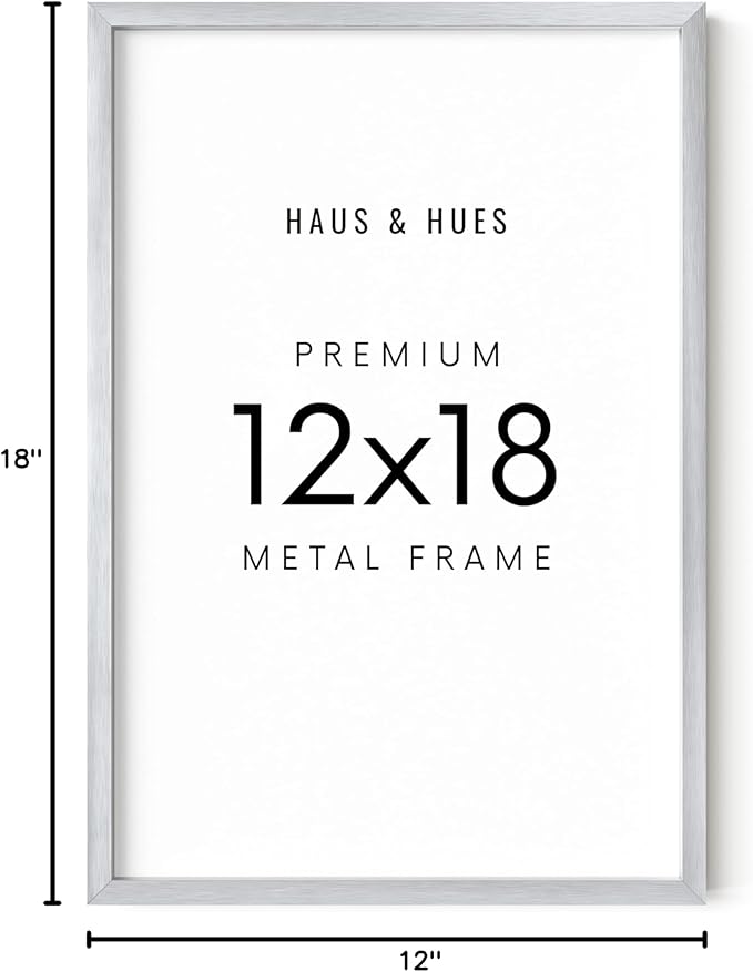 HAUS AND HUES Standalone Silver Aluminum Frame Set of 1-12x18