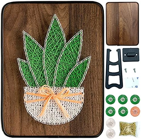BAZIMA DIY String Art Kit for Beginner,DIY Aloe Potted Craft Kit,Unique Gift,Craft Kit for Holidays by BAZIMA+ALICE