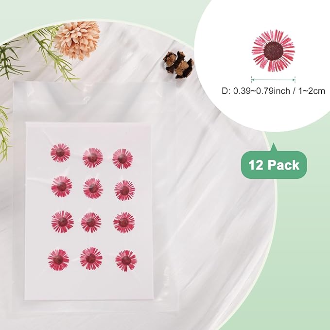 12-Pack Dried Pressed Flowers for Resin, Real Natural Bulk Dry Floral for Crafts/DIY Jewelry/Soap Making/Scrapbooking/Candle/Epoxy Resin Supplies [Red]