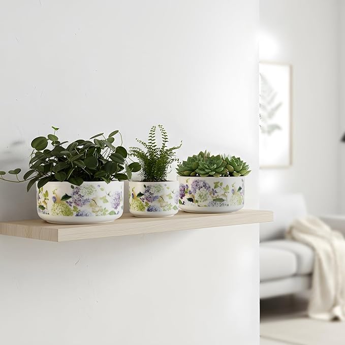 Ceramic Planters Set of 3 – 5.9/4.9/ 3.9 in White Cylinder Indoor Plant Pots , Plant Pots Indoor for Olive Tree，Matte Glazed Stoneware Flower Pots for Succulent Herb Cactus (3, Ceramic White)