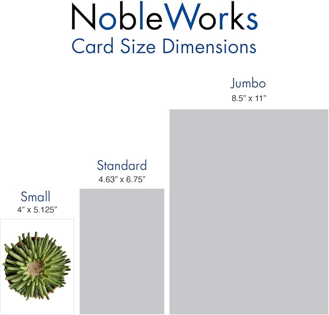 The Best Card Company - 20 Assorted Blank Plant Cards Boxed (4 x 5.12 Inch) (10 Designs, 2 Each) - Luscious Succulents AM6287OCB-B2x10