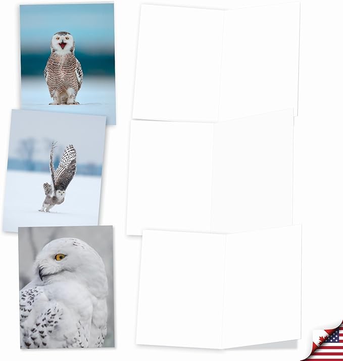 The Best Card Company - 20 Blank Note Cards with Envelopes (4 x 5.12 Inch) - All Occasion Animal Card Assortment (10 Designs, 2 Each) - Snowy Owls AM9518OCB-B2x10