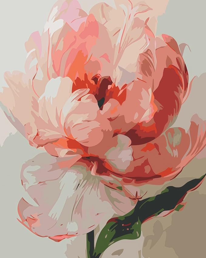 CSZPPQAF Paint by Numbers for Adults Beginner, Flower Paint by Number Kits on Canvas DIY Oil Painting Watercolor Color by Numbers for Home Wall Decor 16X20inch