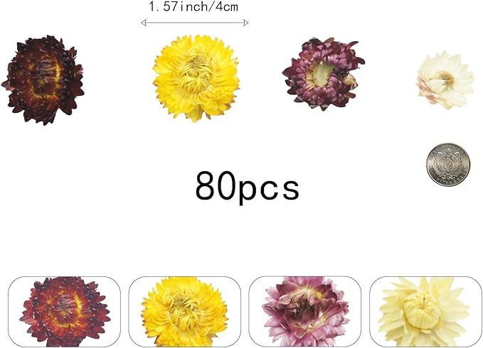 80Pcs Real Natural Dried Daisy Flowers Heads Bulk Gerbera Daisies Real Sunflowers Chrysanthemum Dry Flower Arrangements for Wedding Decor Home Party Decoration and DIY Craft (Multi Colors)