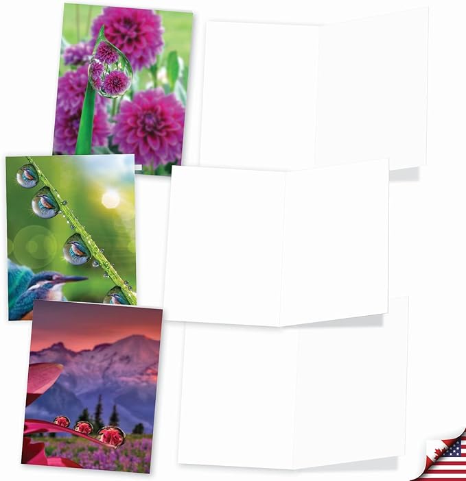 The Best Card Company - 10 Blank Note Cards (4 x 5.12 Inch) - Fun Pets, Zoo, Wildlife Cards, Assorted Greetings Boxed - Waterdrop Beauty AM6111OCB-B1x10