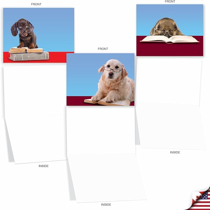 The Best Card Company - 10 Blank Dog Greeting Cards for All Occasions (4 x 5.12 Inch) - Reading Eye Dogs M3967