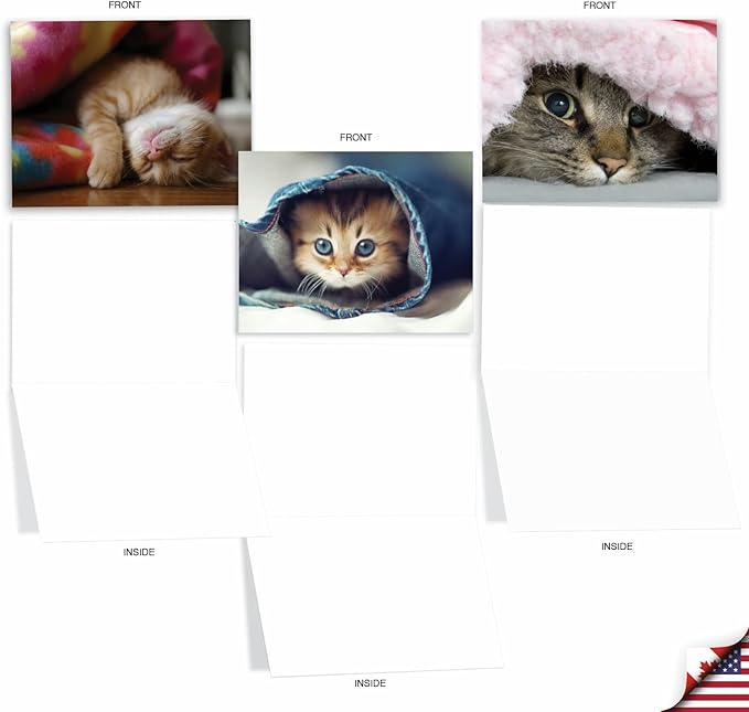 The Best Card Company - 10 Adorable Blank Cat Cards (4 x 5.12 Inch) - Cute Pet Kittens, Assorted Bulk Notecard Set - Cat You See Me Now M1543BN