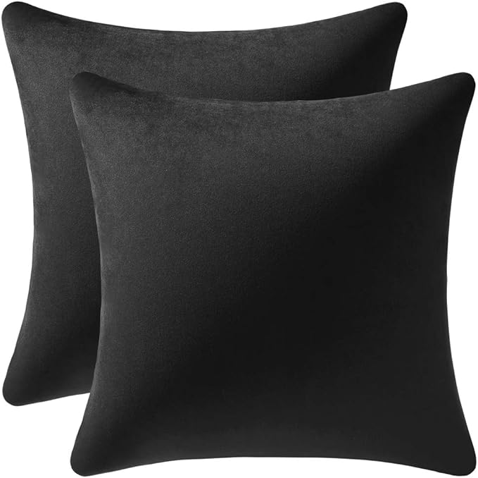 Decorative Pillow Covers 20x20 Black: 2 Pack Cozy Soft Velvet Square Throw Pillow Cases for Farmhouse Home Decor