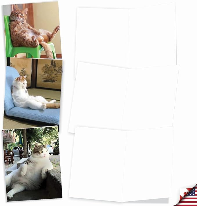 The Best Card Company - 10 All Occasion Blank Cat Cards (4 x 5.12 Inch) - Cute Assorted Bulk Card Set - Sitting Pretty Kitties M4613OCB-B1x10