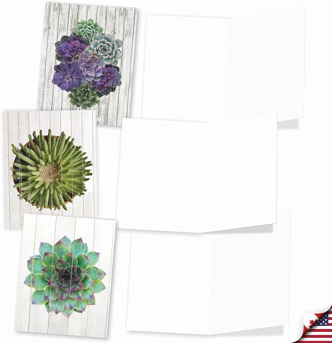 The Best Card Company - 10 Blank Note Cards with Envelopes (4 x 5.12 Inch) - Bulk All Occasion Cards Boxed - Shiplap Succulents AM6438OCB-B1x10