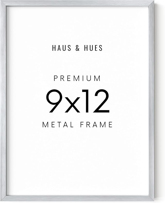 HAUS AND HUES 9x12 Silver Picture Frame - Modern Aluminum Display for Posters and Photos - Vertical & Horizontal Hanging (9x12 in, Silver)