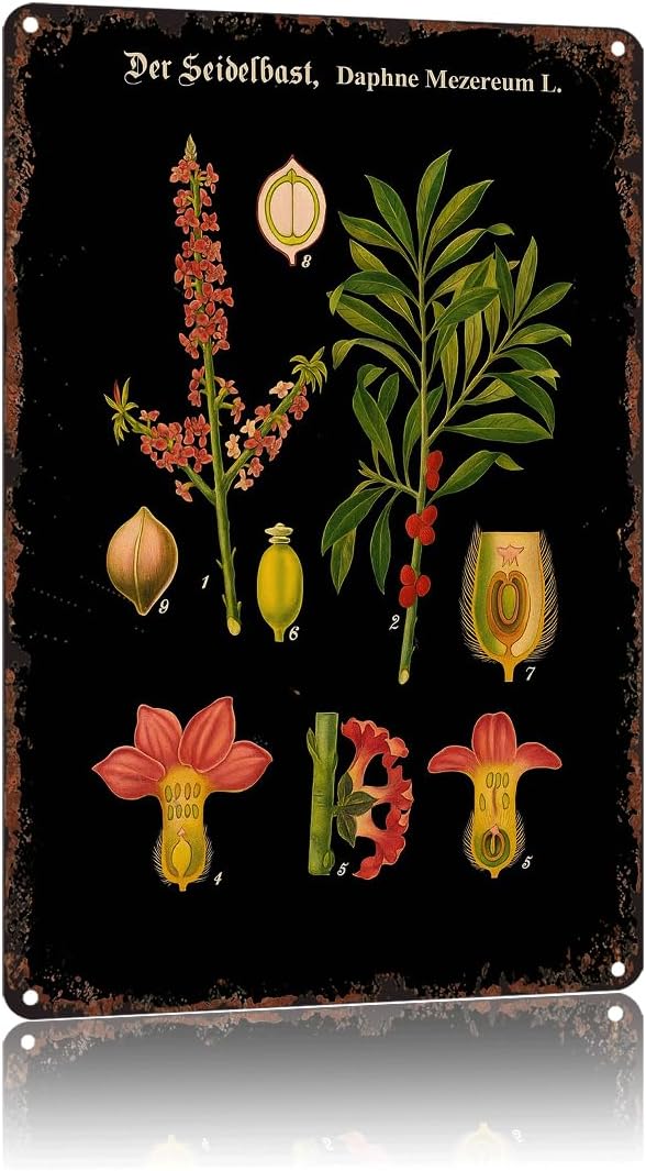 Vintage German Botanical Chart Educational Metal Sign Funny German School Chart Rare Botanical Poster Black Aluminum 8x12inch-For Bathroom Living Room Bedroom Wall Decor