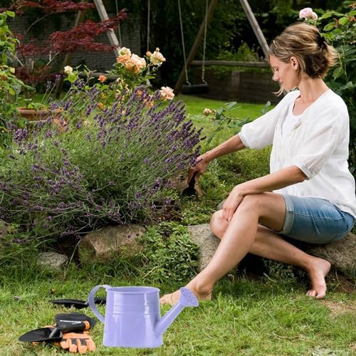 Plant Watering Can, 0.26 Gallon Small Decorative Metal Indoor Watering Cans for House Plants with Sprinkler Head and Handle,Modern Durable Lightweight Water Can for Plants for Gardening - Image 3