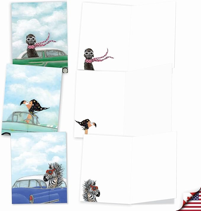 The Best Card Company Assorted Blank Greeting Card Box Set - Incl. 20 Cards + Envelopes - 10 Unique Designs - Perfect for Thank Yous, Invitations, More - Driving Divas AM9276OCB-B2x10