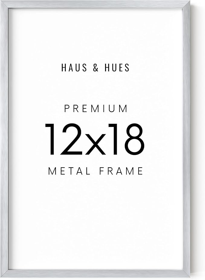 HAUS AND HUES Standalone Silver Aluminum Frame Set of 1-12x18