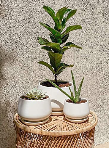LE TAUCI Ceramic Plant Pots, 4.1+5.1+6.5 inch, Set of 3, Planters with Drainage Hole and Saucer, Indoor Flower Pot with Hole Mesh Pad, Gifts for Mom, White - Image 2