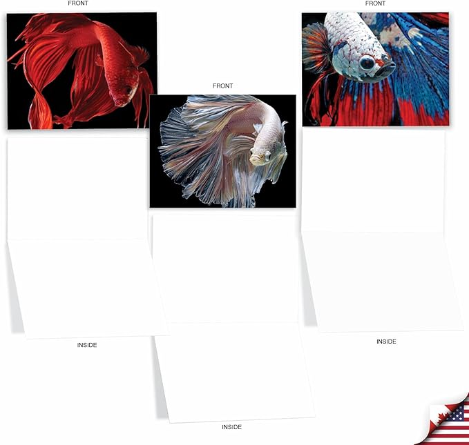 The Best Card Company - 10 All Occasion Blank Cards for Men and Women (4 x 5.12 Inch) - Nautical, Ocean, Sea Life Assortment of Notecards - Fancy Fins M1630BN