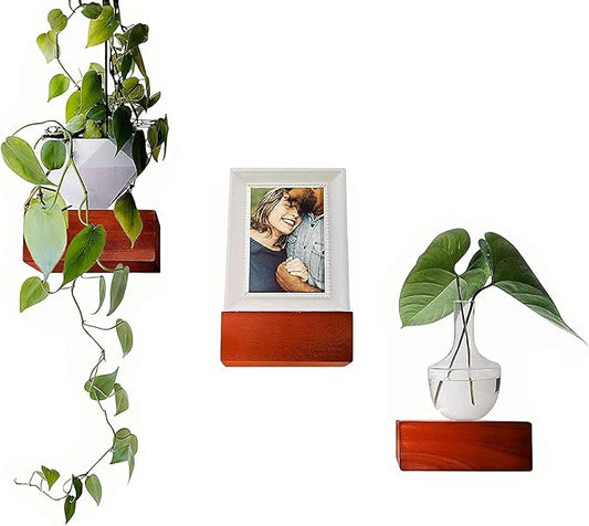 Solid Wood Small Size Floating Wall Shelves, Set of 3 Home Decor in Mahogany Color, Holds 30 Ibs Each Easy Installation for Living Room, Bedroom, Bathroom, Kitchen, and Office.