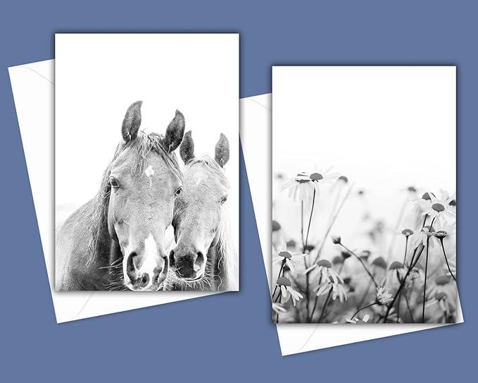 Modern Farmhouse Greeting Cards - Set of 10 All Occasion 5x7 Note Cards with Envelopes. Blank Inside. Assorted Black & White Photos including Horses, Cows, Barn, Daisies, Windmill and more.
