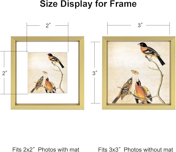 3x3 Picture Frame, Brass Metal Square Photo Frames with HD Glass, Fits 2x2 with Mat or 3 x 3 without Mat, Display for Wall and Table, 1 Pack