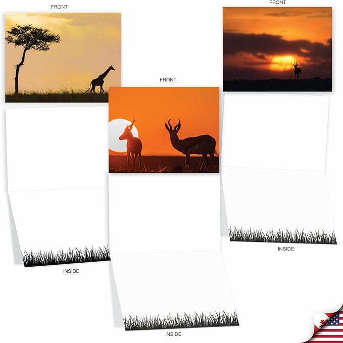 The Best Card Company - 10 Blank Animal Cards Boxed (4 x 5.12 Inch) - Assorted Pets, Zoo, Wildlife Cards for Kids - Safari Sunsets M6551OCB