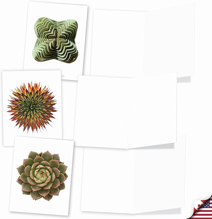 The Best Card Company - 20 Assorted Blank Plant Cards Boxed (4 x 5.12 Inch) (10 Designs, 2 Each) - Luscious Succulents AM6287OCB-B2x10