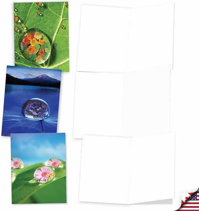 The Best Card Company - 10 Blank Note Cards (4 x 5.12 Inch) - Fun Pets, Zoo, Wildlife Cards, Assorted Greetings Boxed - Waterdrop Beauty AM6111OCB-B1x10