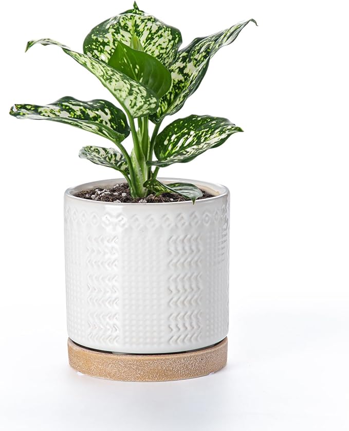 Indoor-Outdoor Ceramic Plant Pots: 6 Inch Flower Pots with Drainage Hole & Saucer - Decorative Ceramic Pots for Plants Herbs Succulents - Home Garden Patio Lawn Use (White)