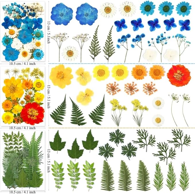 185 Pcs Pressed Dried Flowers for Resin Molds, Natural Real Flowers Leaves for DIY Art Crafts, Scrapbooking, Epoxy Jewelry, Candle, Soap Making, Nails Decors