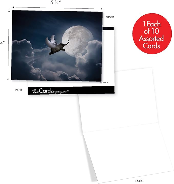 The Best Card Company - 10 Blank Animal Cards Boxed (4 x 5.12 Inch) - Assorted Pets, Zoo, Wildlife Cards for Kids - Elefantasy M6579OCB