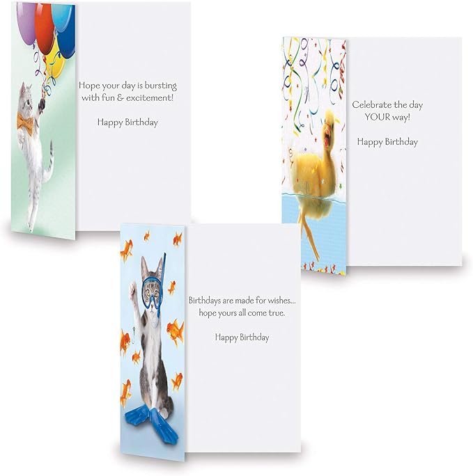 Current Kids Animal Photo Happy Birthday Greeting Card Set - Value Pack of 20 Cards for Kids With White Envelopes, 10 Designs, Large 5" x 7" Assortment