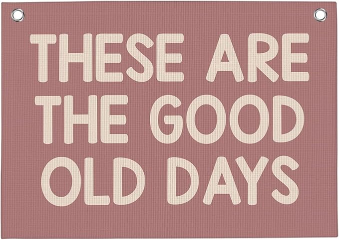 Pink These Are The Good Old Days Banner Vintage Banner Wall Decor Wall Hanging Boys Girl Play Bedroom Dorm Room Decor 22x28 Inch