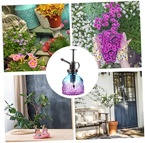 Vintage Glass Watering Can with Head Plant Mister Bottle for Succulents Flowers Bonsai Elegant Decor - Image 5