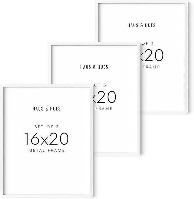 HAUS AND HUES Standalone White Aluminum Frame Set of 3-16x20