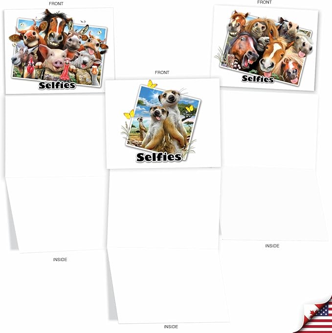 The Best Card Company - 10 Blank Animal Cards Boxed (4 x 5.12 Inch) - Assorted Pets, Zoo, Wildlife Cards for Kids - Note to Selfie M6642OCB