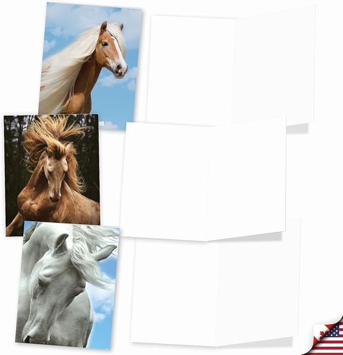 The Best Card Company - 20 Blank Note Cards with Envelopes (4 x 5.12 Inch) - All Occasion Animal Card Assortment (10 Designs, 2 Each) - Horses | Magnificent Manes AM4601OCB-B2x10