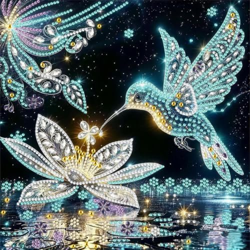 Hummingbird Diamond Art Painting Kits 5D Special Shape 12 x 12 inch by Unknown