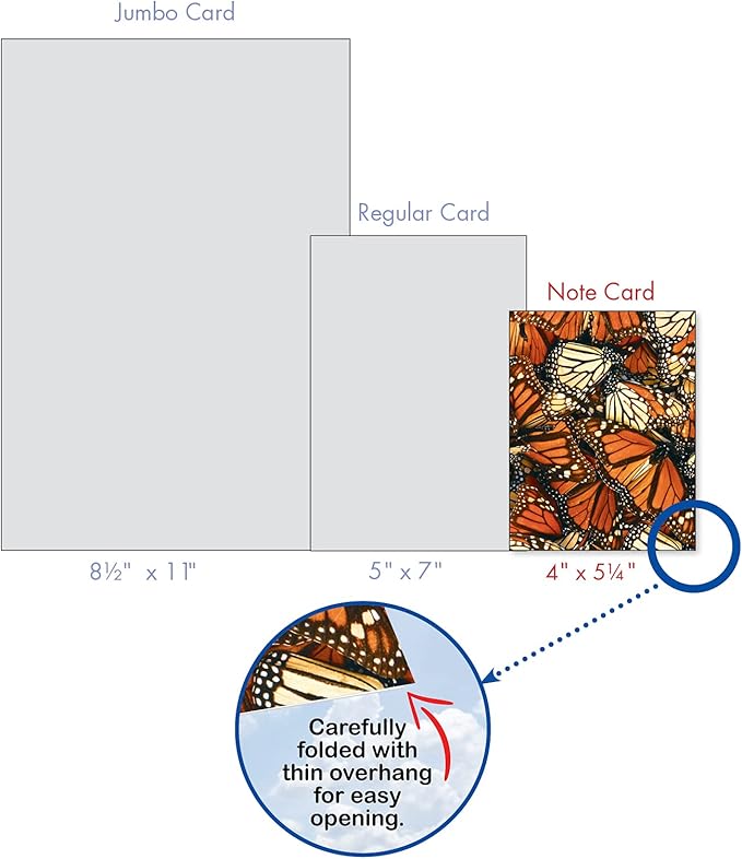 The Best Card Company - 20 Blank Notes with Envelopes - All Occasion Animal Assortment (10 Designs, 2 Each) - The Monarchs AM9538OCB-B2x10