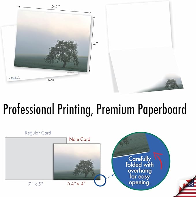 The Best Card Company - 20 Landscape Nature Note Cards Blank (4 x 5.12 Inch) (10 Designs, 2 Each) - Timeless Trees AM9524OCB-B2x10