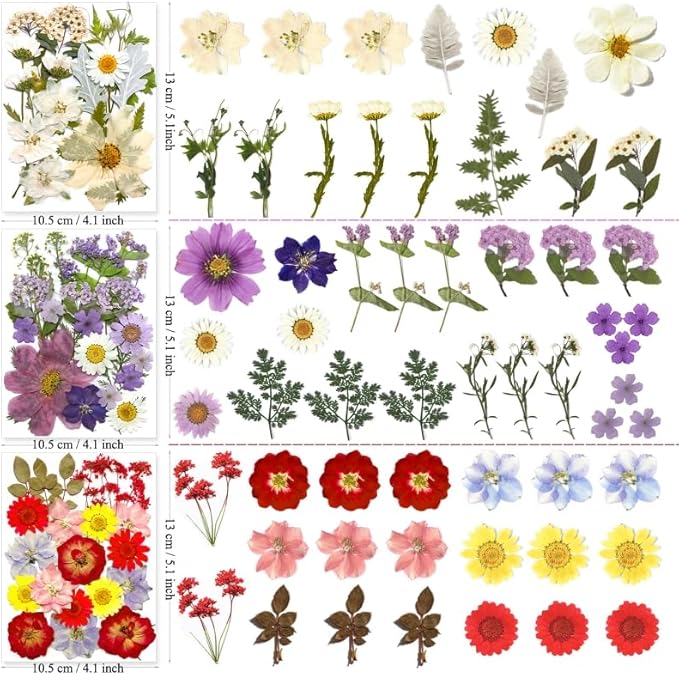 185 Pcs Pressed Dried Flowers for Resin Molds, Natural Real Flowers Leaves for DIY Art Crafts, Scrapbooking, Epoxy Jewelry, Candle, Soap Making, Nails Decors