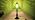 Tiffany Style Table Lamp Green Rippled Stained Glass Lamp 14 Inch - Image 7