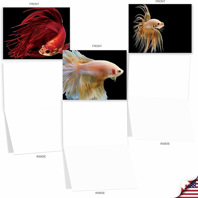The Best Card Company - 10 All Occasion Blank Cards for Men and Women (4 x 5.12 Inch) - Nautical, Ocean, Sea Life Assortment of Notecards - Fancy Fins M1630BN