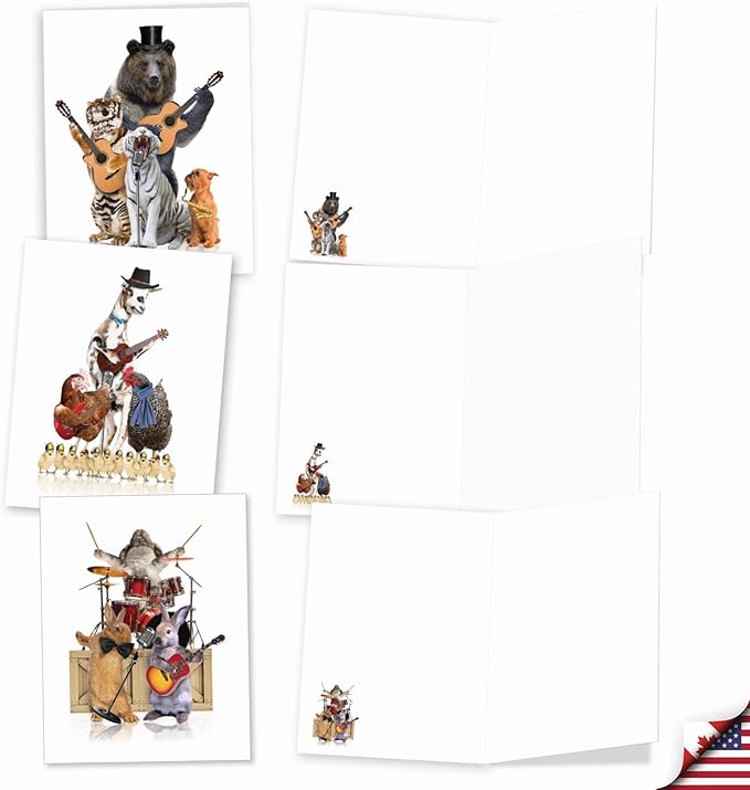 The Best Card Company - 20 Assorted Bulk Animal Cards Boxed (4 x 5.12 Inch) (10 Designs, 2 Each) - Animal Bands AM9508OCB-B2x10