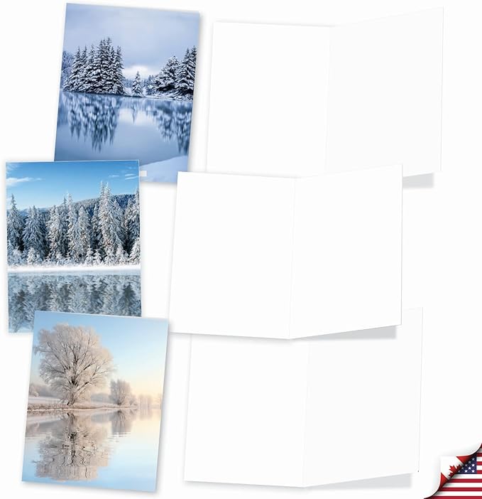 The Best Card Company - Box of 10 All Occasion Cards Blank (4 x 5.12 Inch) - Scenic Landscape Cards Assorted - Tree-flections AM6134OCB-B1x10-NB