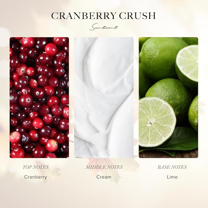 Scentiment Diffuser Oil - Cranberry Crush Fall Collection | Aromatherapy Home Fragrance | Luxurious Scent with Notes of Berries, Ginger, Lime (120ml)