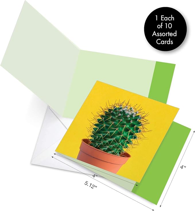The Best Card Company - 10 Blank Note Cards with Envelopes (4 x 5.12 Inch) - Bulk All Occasion Cards Boxed - Colorful Cacti AMQ6139OCB-B1x10-NB